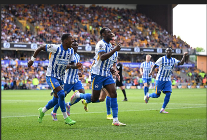 Brighton vs wolves 2-0