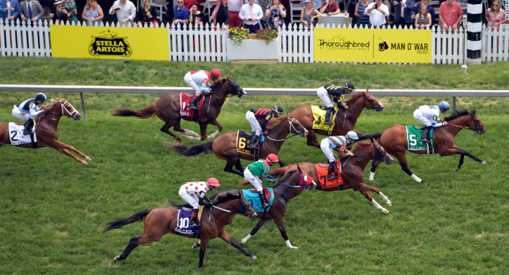 Journalism preakness stakes