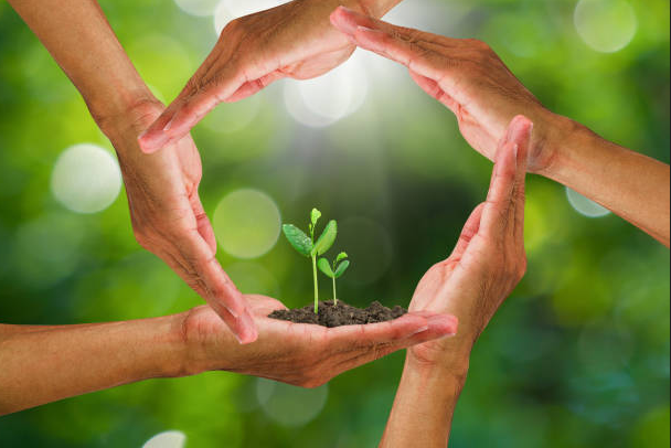 Sustainable lifestyle practices