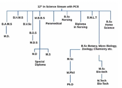 Career Options for Science Students After +2