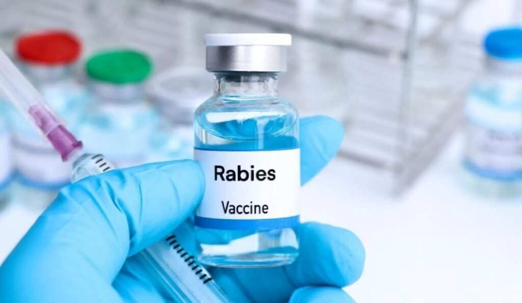 National Institute of Health develops affordable rabies vaccine in Pakistan