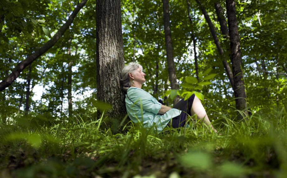 Spending time in green spaces reduces stress and anxiety