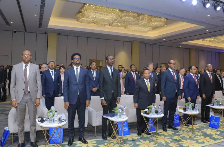 What Indian Investors See as Key Areas for Opportunity in Ethiopia