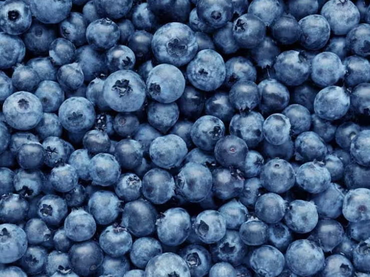 How Blueberries Help Reduce Inflammation and Protect Kidney Cells