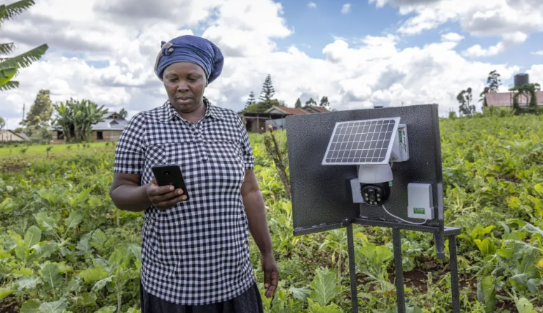 Solar Power and Fewer Chemicals are Used