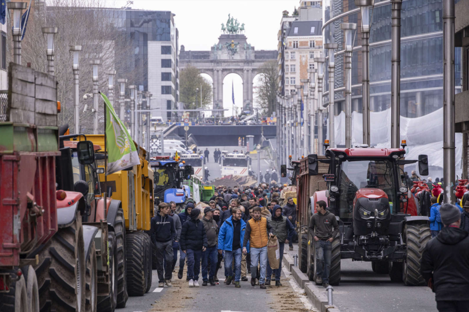 Cheap Imports from Ukraine and South America Undercut European Markets